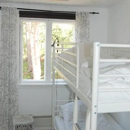 Constantine 帕伽斯