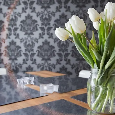 Constantine 别墅 帕伽斯